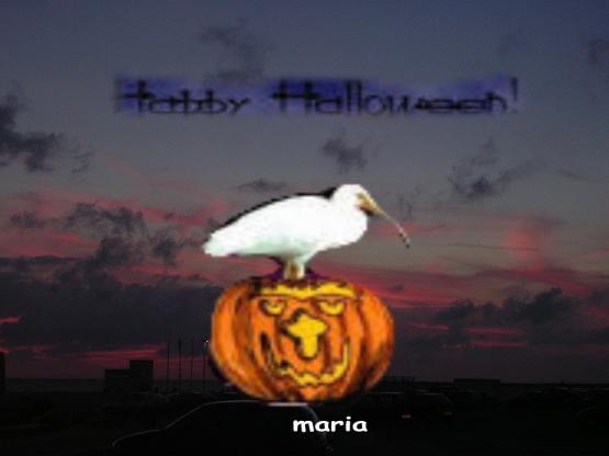 carte virtuel 9.jpg