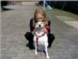 Chipie, chienne de Catherine