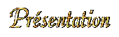 PC Services