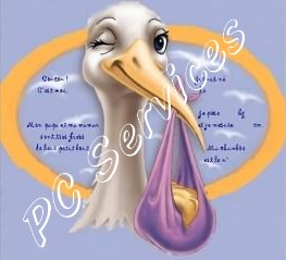 naissance faire-part 2