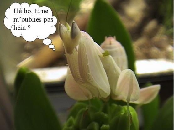 Copie de DSC00104.JPG