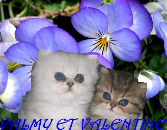Valmy et Valentine