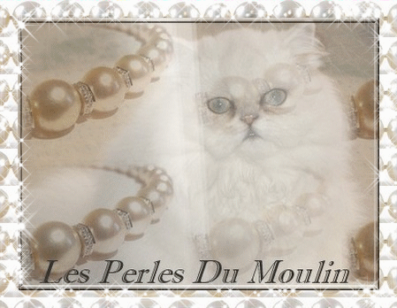 LES PERLES DU MOULIN