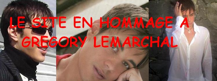SITE EN HOMMAGE A GREGORY LEMARCHAL
