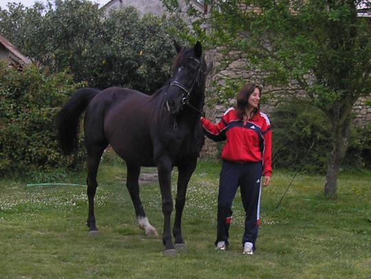 Les �curies de Marie