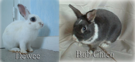 Dewee & Bob