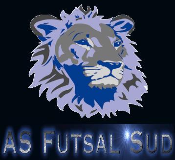 Site de l'AS Futsal Sud (ASFS)