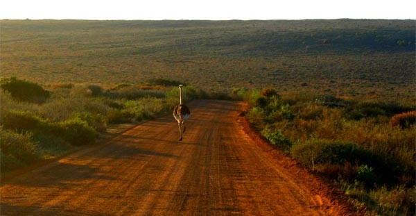 Marche Ultra L�g�re par Peyo