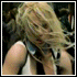 onlybritney