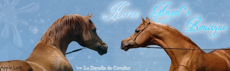 Horse Angel's