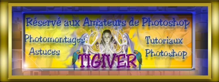 R�serv�s aux amateurs de Photoshop