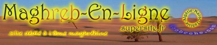 Le Maghreb en ligne