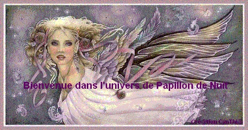 Entrer dans l'univers de Papillon de Nuit