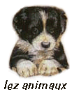 lez animaux