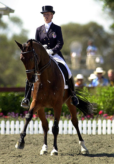 Haras de Bellili