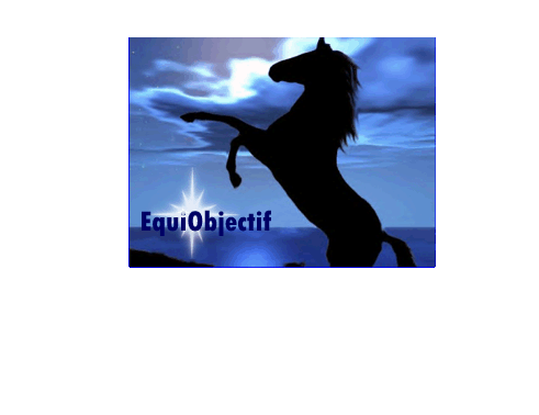 EquiObjectif