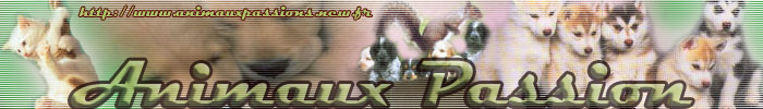 Animaux passion