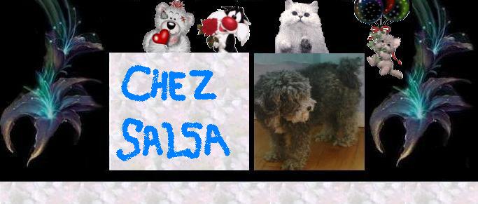 Le monde de salsa: un monde de tendresse