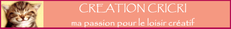 CREATIONCRICRI