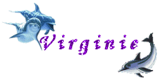 loisirs cr�ative de virginie