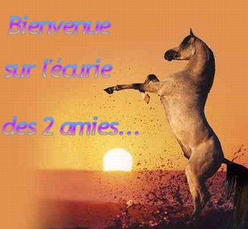 www.harasdes2amies.com