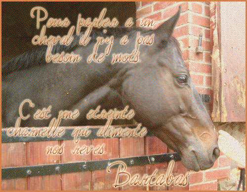 Le Haras du TheilV