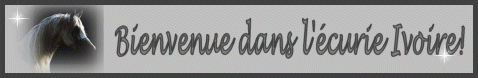 l'�curie d'ivoire