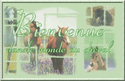 La licorne d'argent