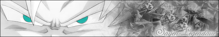 saiyen-l�gendaire