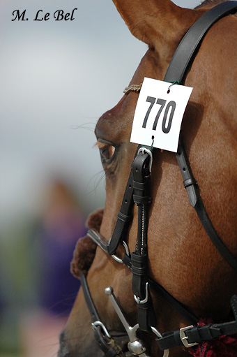 Haras Jumpo