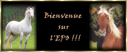Elevage des Pluies d'Or