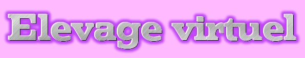 Elevage virtuel
