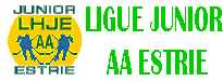 ligue hockey junior AA