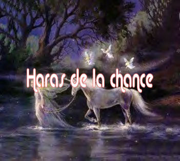 Ecurie du Haras