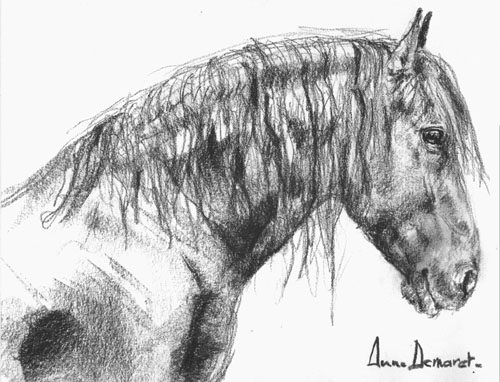 Haras de la Cavale