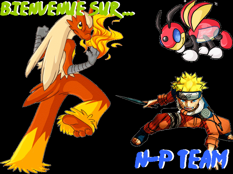N-P Team