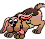 THE DOG IS PAS MORT