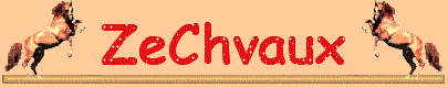 Un site de d�tente avec le cheval