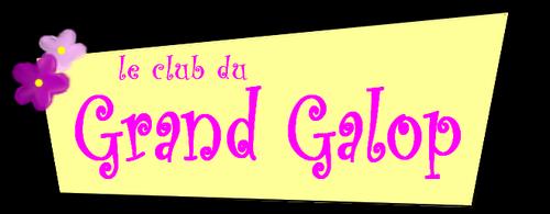 Le club du grand galop