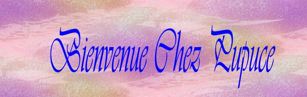 Bienvenue chez pupuce