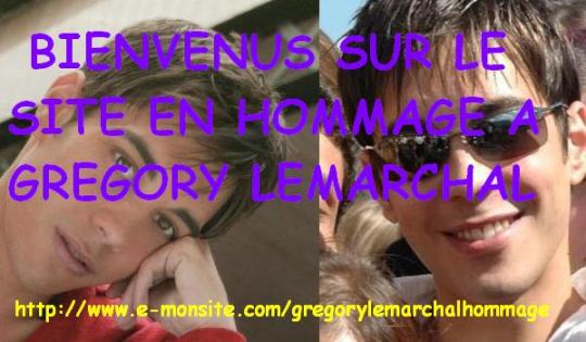 SITE EN HOMMAGE A GREGORY LEMARCHAL