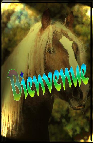 �~� Ecurie des Cabrioles, version 2 �~�
