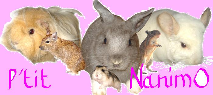 P 'tit N'animO
