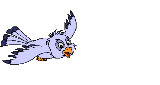 Nos camarades les oiseaux
