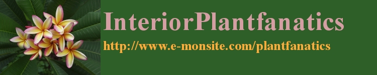 InteriorPlantfanatics