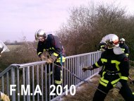 F.M.A 2010