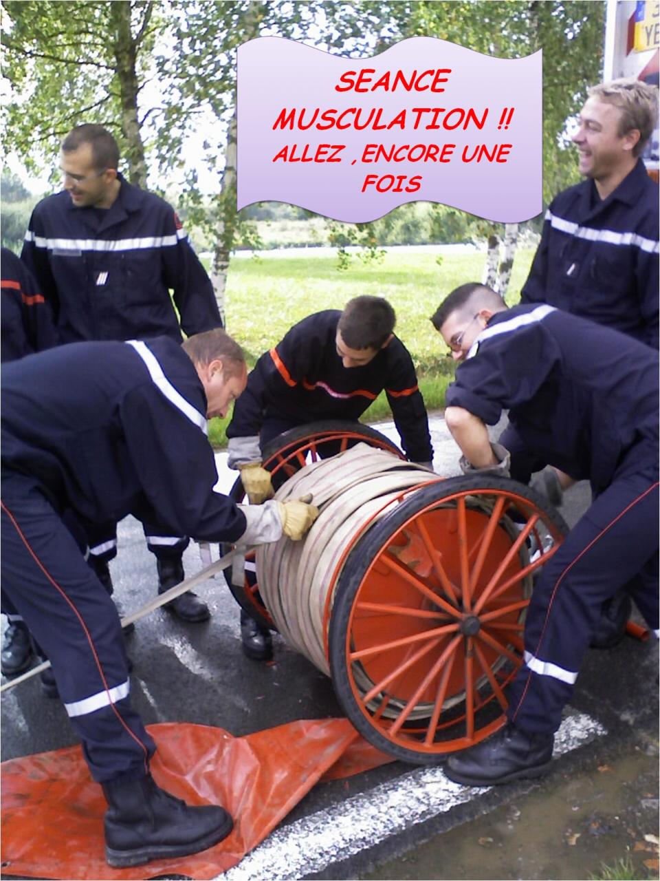 insolite1