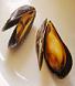 la moule