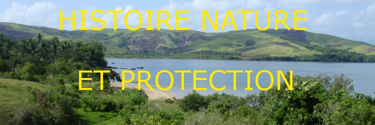 Histoire Nature et Protection