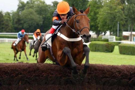 Pronos course Quinté du Jour